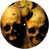 7'' Slipmat - Ancient Skulls 