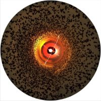 7'' Slipmat - Atomic Birds 