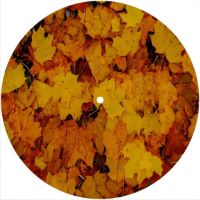7'' Slipmat - Autumn Leaf 1 