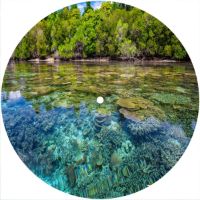 7'' Slipmat - Beach 1 