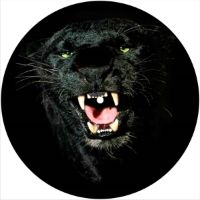 7'' Slipmat - Black Panther 
