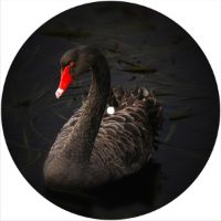 7'' Slipmat - Black Swan 1 