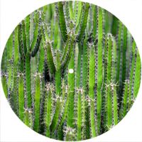 7'' Slipmat - Cactus 1 