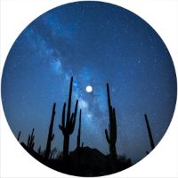 7'' Slipmat - Cactus Sky 