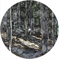 7'' Slipmat - Camouflage Abstract 3 