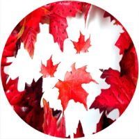 7'' Slipmat - Canadian Patriot Flag 1 