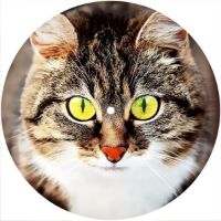 7'' Slipmat - Cat 3 