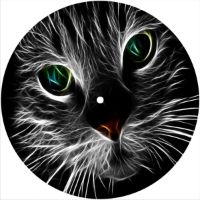 7'' Slipmat - Cat 5 