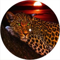 7'' Slipmat - Cat Leopard Night 