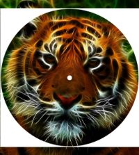 7'' Slipmat - Cat Tiger Lights 