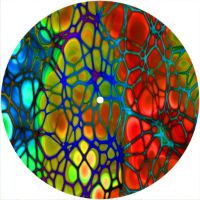 7'' Slipmat - Cells 3 
