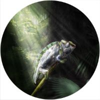 7'' Slipmat - Chameleon 1 