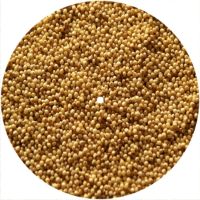 7'' Slipmat - Corn 