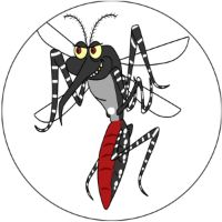 7'' Slipmat - Crazy Mozzy 