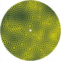 7'' Slipmat - Crazy Ripples YE 