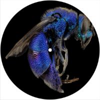 7'' Slipmat - Cuckoo Wasp 