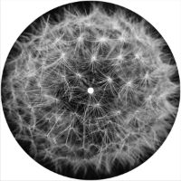 7'' Slipmat - Dandelion 1 