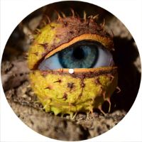 7'' Slipmat - Eye Conker 