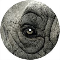7'' Slipmat - Eye Elephant 