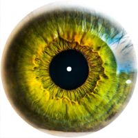 7'' Slipmat - Eye Iris 1 
