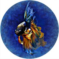 7'' Slipmat - Fighting Fish 