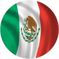 7'' Slipmat - Flag Mexico 