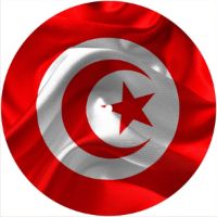 7'' Slipmat - Flag Turkey 