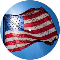 7'' Slipmat - Flag US Patriot 3 