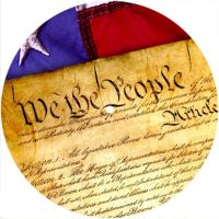 7'' Slipmat - Flag US Patriot Constitution 