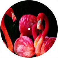 7'' Slipmat - Flamingo 1 