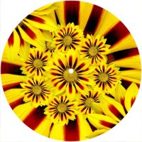 7'' Slipmat - Flower Power 8 