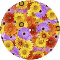 7'' Slipmat - Flower Power 