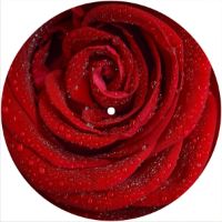 7'' Slipmat - Flower Rose Wet 