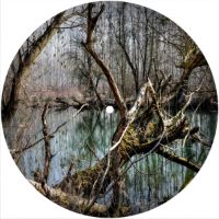 7'' Slipmat - Forest 1 