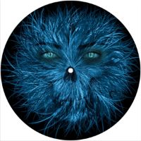 7'' Slipmat - Fuzzy Monster 2 
