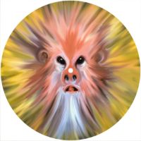 7'' Slipmat - Fuzzy Monster 3 