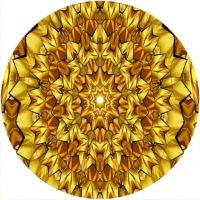 7'' Slipmat - Geometry 8 