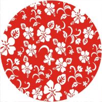 7'' Slipmat - Hawaiian Print RD 