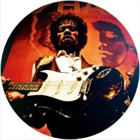 7'' Slipmat - Iconic 1 