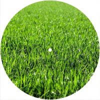 7'' Slipmat - Just Grass 