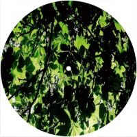 7'' Slipmat - Leaves 1 