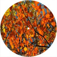 7'' Slipmat - Leaves 2 