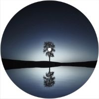7'' Slipmat - Lone Tree 