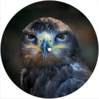 7'' Slipmat - Majestic Eagle 1 