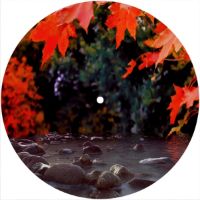 7'' Slipmat - Maple River 