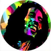 7'' Slipmat - Marley 1 