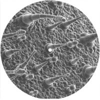 7'' Slipmat - Micro Organic 