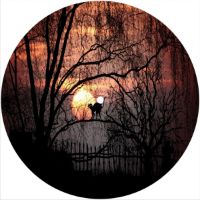 7'' Slipmat - Moon Cat 