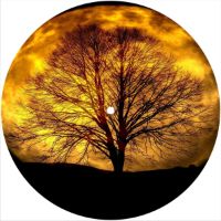 7'' Slipmat - Moon Tree 