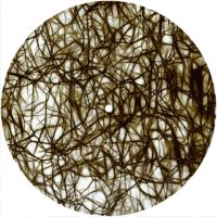 7'' Slipmat - Network 4 